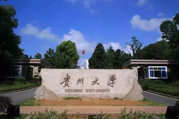 贵州大学电子舌项目